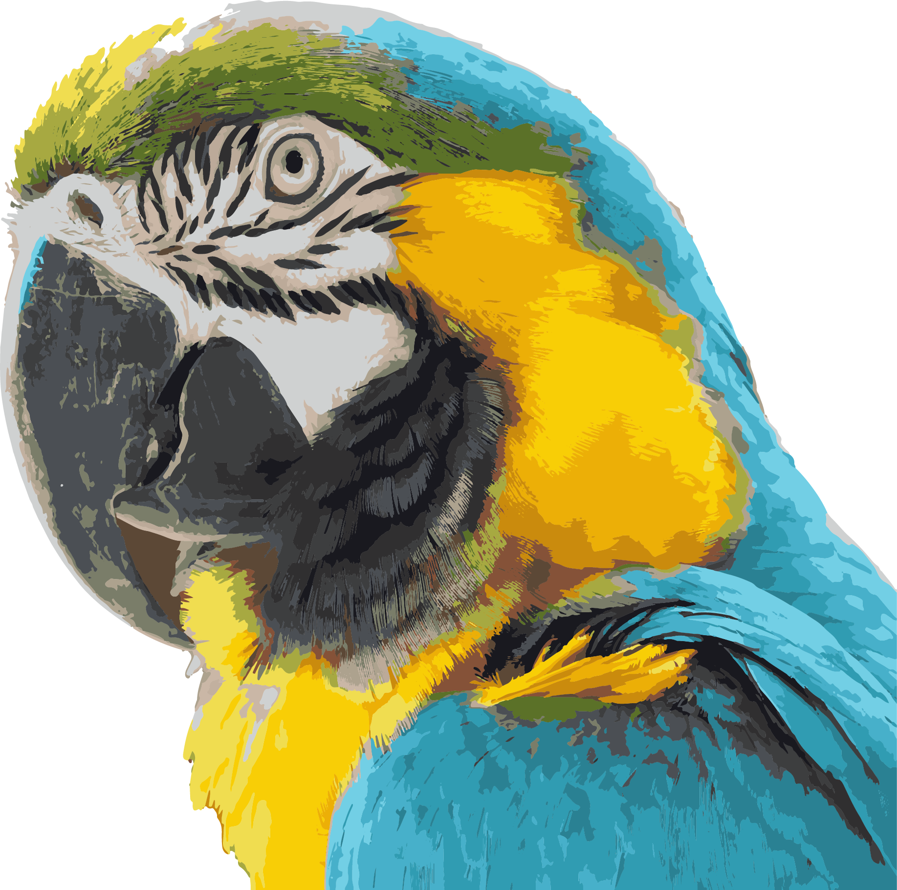 Parrot Irrigation Professionals macaw logo